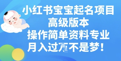 小红书宝宝起名项目高级版本,操作简单,资料专业,月入过W-领航资源站
