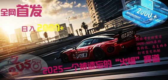 全网首发:2025一个被遗忘的“火爆”赛道轻松日入多张-领航资源站