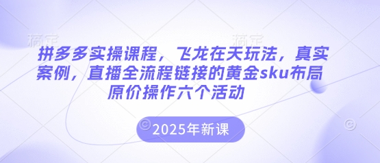 拼多多实操课程,飞龙在天玩法,真实案例,直播全流程链接的黄金sku布局原价操作六个活动-领航资源站