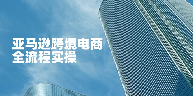 (14252期)亚马逊跨境电商全流程实操,教你从零开始,掌握店铺运营与广告技巧-领航资源站