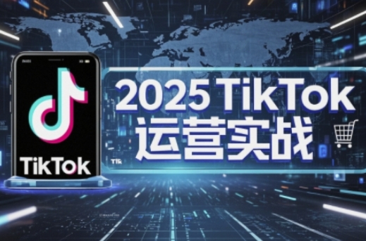 2025TikTok电商运营,掌握TikTok店铺运营核心技巧,实现低成本高转化-领航资源站