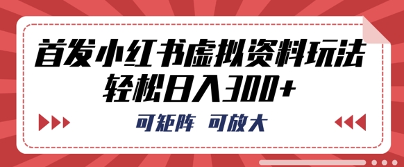 首发小红书虚拟资料玩法，可矩阵，可放大，轻松日入3张-领航资源站