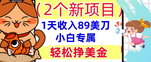 2个新项目,轻松挣美金, 1天收入89美刀,小白专属,干货分享-领航资源站