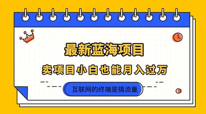 (14289期)2025年最新蓝海项目,卖项目小白也能月入过万-领航资源站