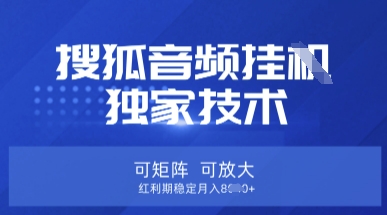 【搜狐音频挂G】独家技术,可矩阵可放大,红利期稳定月入8k【揭秘】-领航资源站