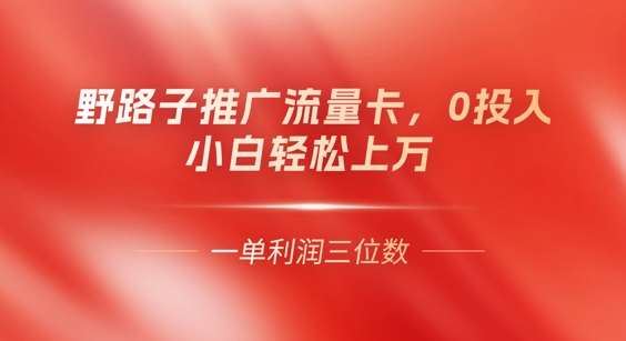 0门槛推广流量卡,一单收益上百,0投入,小白月入过W-领航资源站