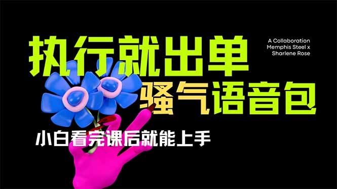 (14170期)爆火全网的开车导航骚气语音包,只要执行就出单,小白看完课程就能实操...-领航资源站