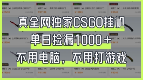 真全网独家CSGO挂G,单日捡漏1k+【揭秘】-领航资源站