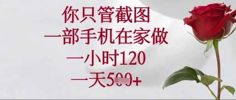 你只管截图,一部手机在家操作,一小时120.一天5张【揭秘】-领航资源站